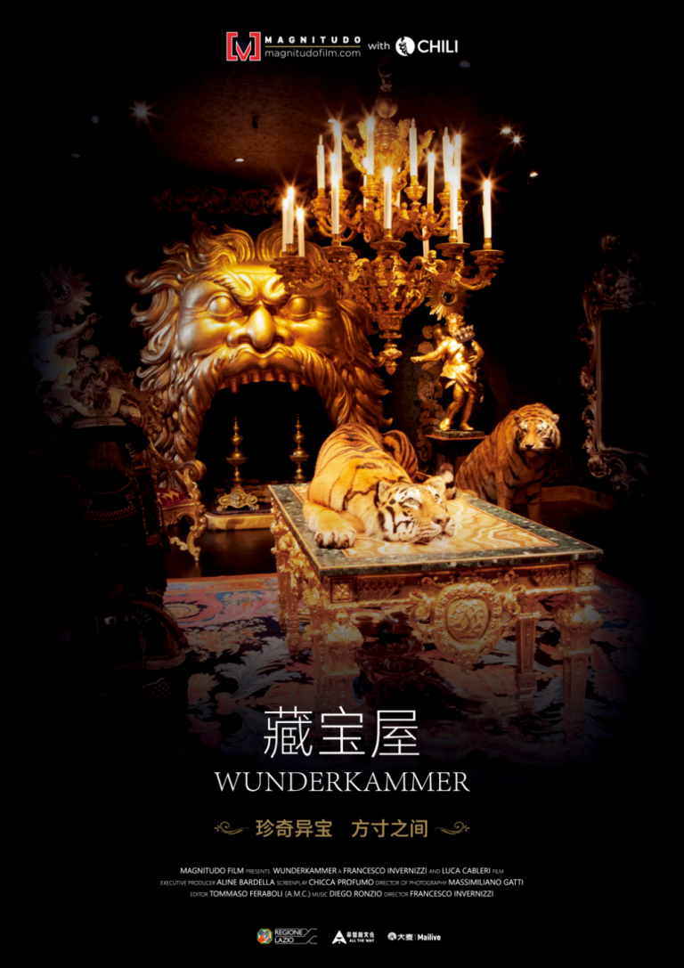 wunderkammer – hz