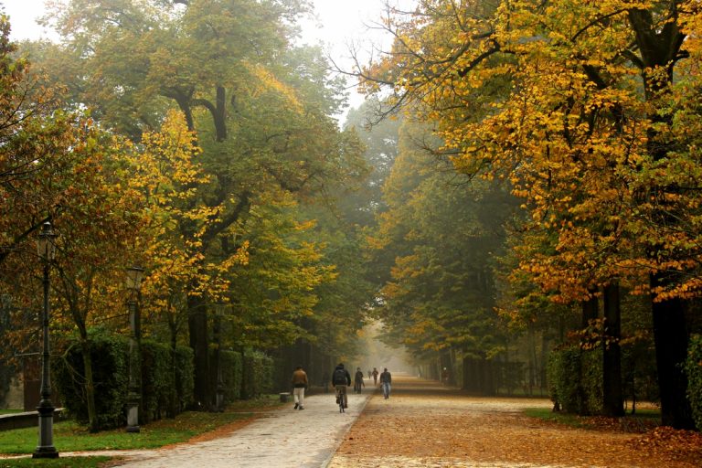 5 PR – Viale 3 – Parco Ducale – GiacomoClickMoceri
