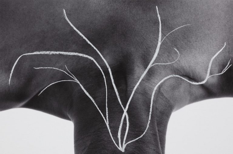 Binta Diaw per la Diciannovesima Giornata del Contemporaneo, Pa(y)sage Corporel, 2023