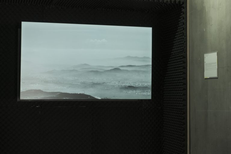 DSCF6601