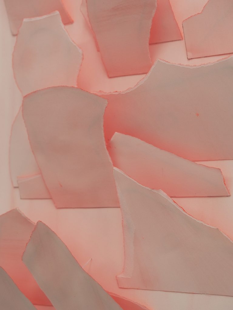 DSCF6633