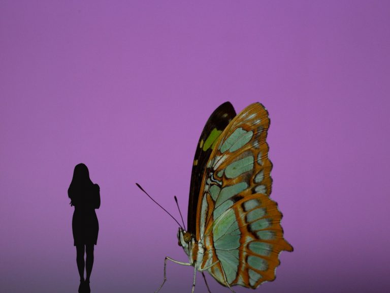 2_Andrea Galvani © The Void Migrates to the Surface_2025_Installation View at Fotografiaka Shanghai