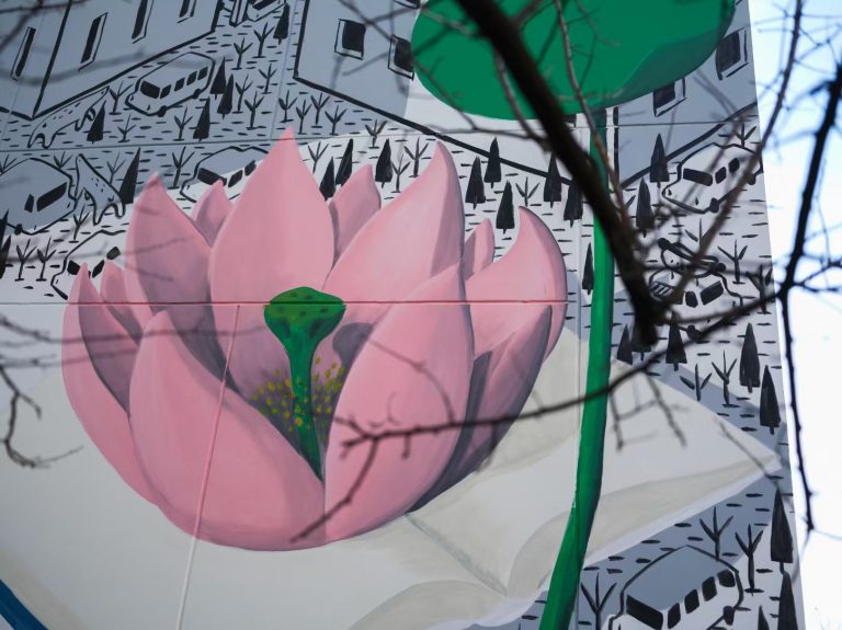 55de456cb581d0b383668bf4b1456223